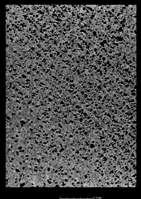 CT-Aufnahme einer im AKF-Verfahren geschäumten ABS-Schicht innerhalb eines Bauteils