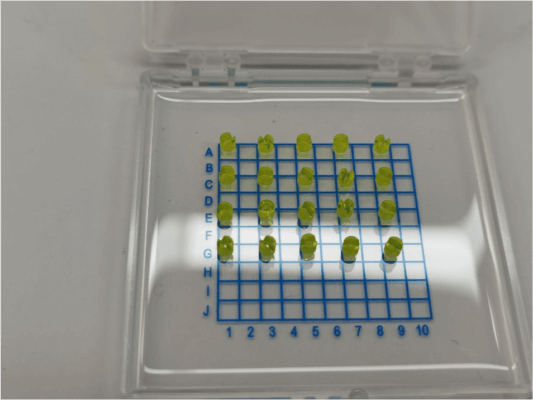 Mehrere 3D-gedruckte Düsen aufgereiht