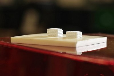 3D-Drucke aus Korallenpulver