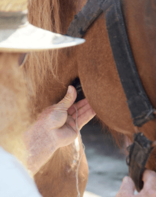 3D-gedrucktes Luftröhrengerät an Bonnie