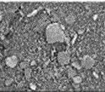 Kornentwicklung von Wolfram