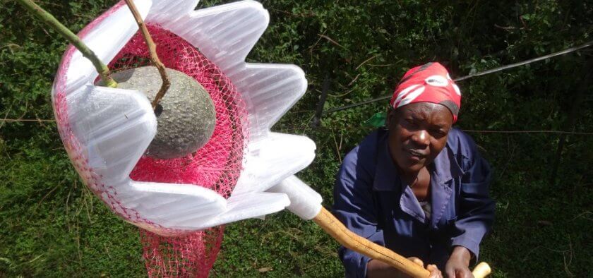 Frau mit 3D-Druck-Obstgreifer