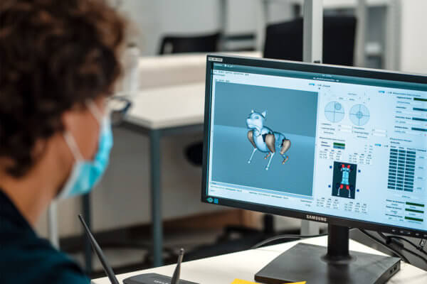 3D-Modellierung von Dyana