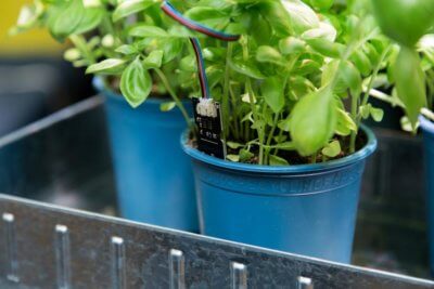 Smart Gardening - Projekt