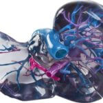 3D-gedrucktes Modell eines Organs