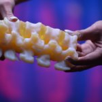 3D-Druck eines Wirbelsäulenmodells