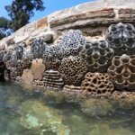 Teil des Living Seawall Projekts