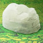 zellulosebasiertes Zahnmodell