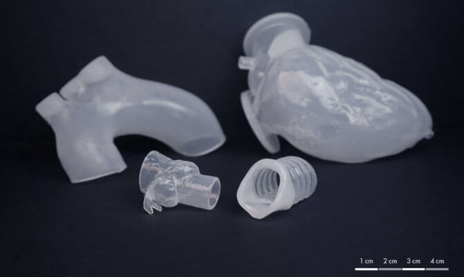 3D-gedruckte anatomische Modelle aus Silikon