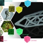 Poröse Strukturen aus der Natur