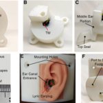 Mehrere Aufnahmen zum 3D-gedruckten Ohrmodell