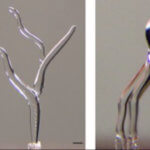 Beispieldrucke Eisstrukturen