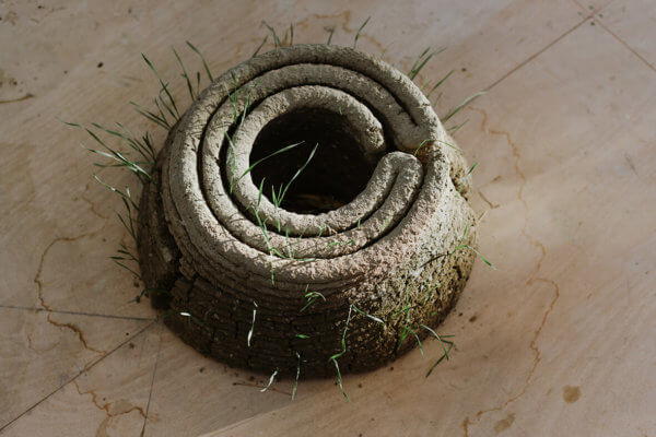 3D-gedruckte Struktur mit ersten Blüten