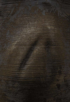 Walhauttextur
