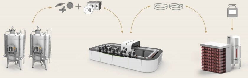 Steakholder Foods Prozedere