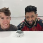 Neuseeländische Studenten weisen mit 3D-Druck-Modell einer Stinkwanze auf die Gefahr eine Invasion hin