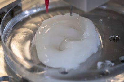 Knorpel aus dem 3D-Drucker