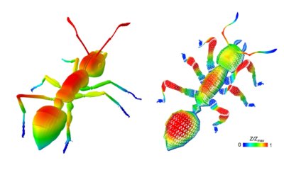 Mesooberfläche von Ameise inspiriert