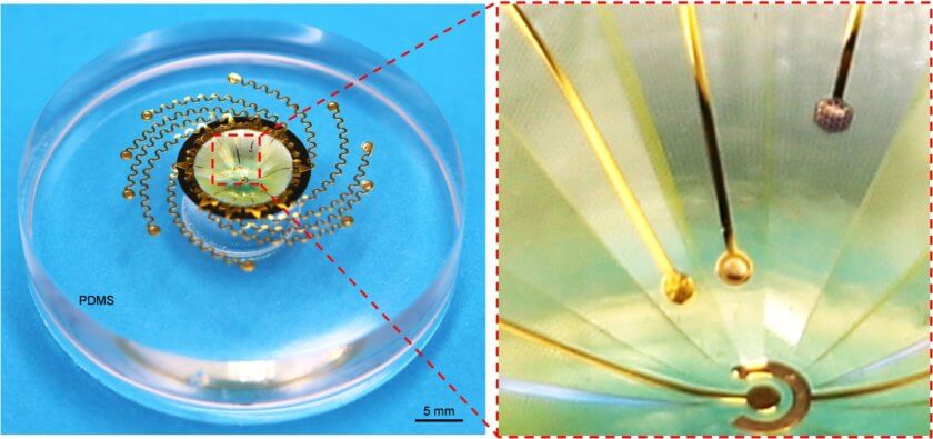 eine kugelkappenförmige Mesooberfläche