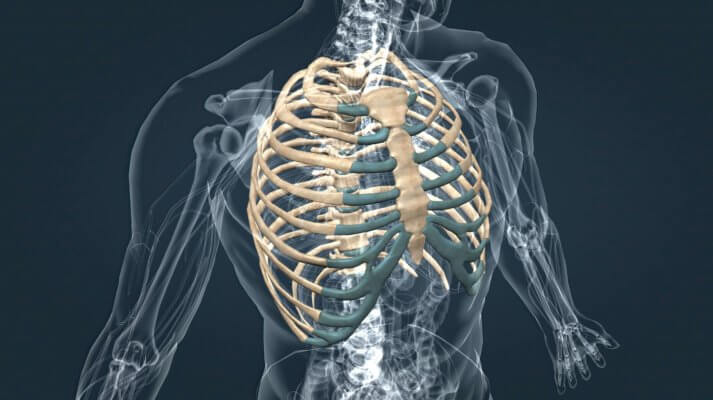 Rippen aus dem 3D-Drucker