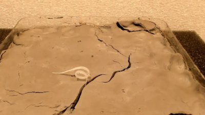 4D-gedruckter Saatroboter Saatroboter