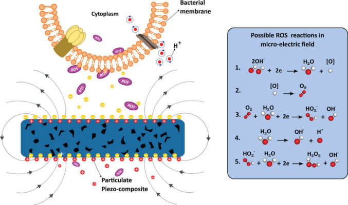 Schema des antibakteriellen Mechanismus