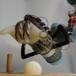 3D-gedruckte Roboterhand
