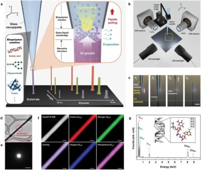 Grafik 1 aus der veröffentlichten Arbeit