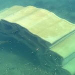 3D-gedrucktes Riff im Wasser