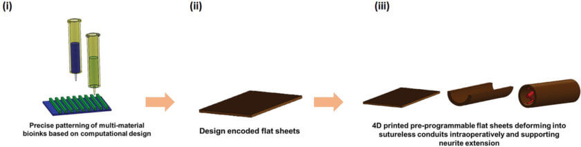Grafik aus der Arbeit der Forscher