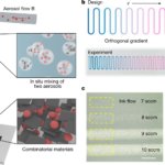 HTCP Designstrategie