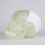 3D-Druck-Beispiel Schädel