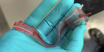 3D-gedruckte hohle Gefäßnetzwerke 3D-gedruckte hohle Gefäßnetzwerke