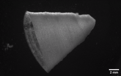 Schlagendes Herzgewebe aus dem 3D-Drucker