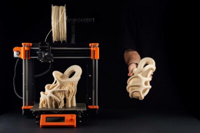 Schuh "ROOTS" aus dem 3D-Drucker von Balena und Kitty Shukman Schuh "ROOTS" aus dem 3D-Drucker von Balena und Kitty Shukman