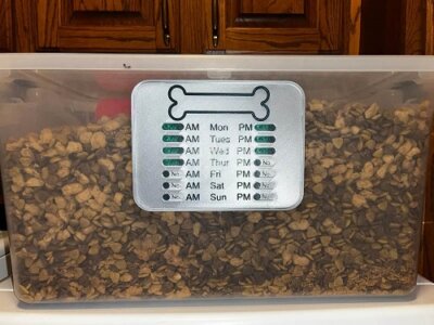 Hund gefüttert Tafel an Box befestigt