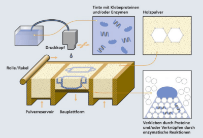 Insektenproteine im 3D-Druck: Schematische Darstellung des Fraunhofer-Projekts