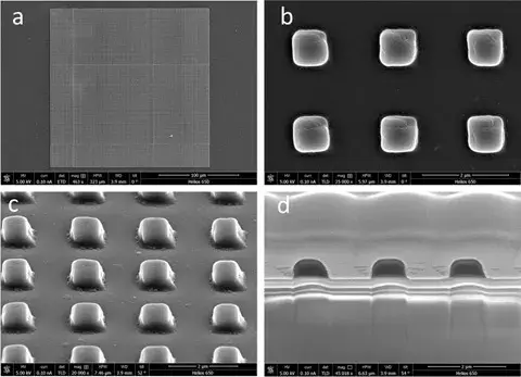 3D-gedruckte Mikrowürfel von Technology Innovation Institute als Medikamententräger 3D-gedruckte Mikrowürfel für Medikamentenlieferung