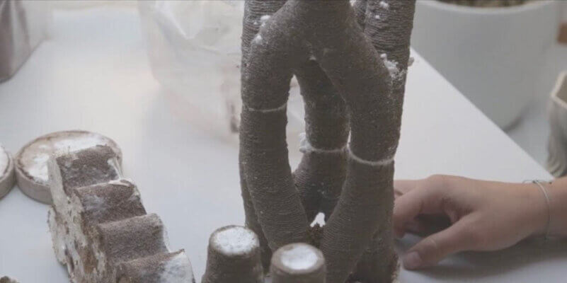 Struktur aus MyCera, dem innovativen pilzbasierten 3D-Druckmaterial.