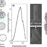 Wissenschaftliche Darstellung der Herstellungsmethode von Nickel-Nanopfeilern durch 3D-Druck und Zwei-Photonen-Lithografie