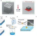 Forschungsgrafiken zu 3D-Drucktechnik für gleichmäßige Schrumpfung entwickelt von SUTD und japanischem Industrietechnologiezentrum
