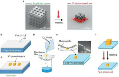 Grafische Darstellung der neuen 3D-Druckmethode für Mikro- und Nanostrukturen von SUTD und japanischem Forscherteam Forschungsgrafiken zu 3D-Drucktechnik für gleichmäßige Schrumpfung entwickelt von SUTD und japanischem Industrietechnologiezentrum
