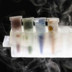 Studierende der University of Rochester entwickeln 3D-Biodrucker für pflanzliche Pharmazeutika