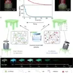 Forscher entwickeln organische Moleküle für selbstüberwachende 3D-Druckmaterialien
