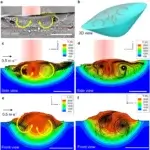 Röntgenaufnahme und Modellierung der Schmelzbadströmung bei der additiven Fertigung mittels gerichteter Energieabscheidung