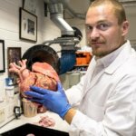 Forscher hält realistisches 3D-gedrucktes Herz für Transplantationstraining an der Nottingham Trent University