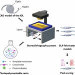 Schematische Darstellung der Produktion von linsenförmigen 3D-Objekten durch Stereolithographie mit einem Harz aus Acrylatmonomeren und Vernetzern, entwickelt von der University of East Anglia