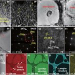 Forscher der Shandong University entwickeln neue NiTiNb-Formgedächtnislegierungen mit Laser Beam Powder Bed Fusion 3D-Druck