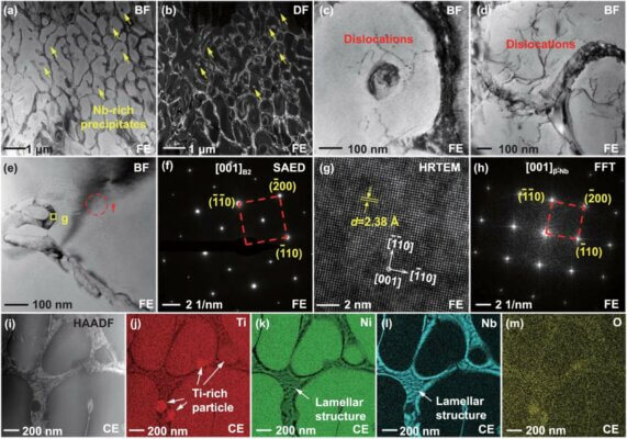 Mikrostrukturanalyse der NiTiNb-Formgedächtnislegierungen zeigt Nb-reiche Ausscheidungen und Auswirkungen der Wärmebehandlung