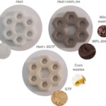 PBAT-basierte Verbundwerkstoffe, hergestellt mit Agro-Abfallfüllern durch selektives Lasersintern